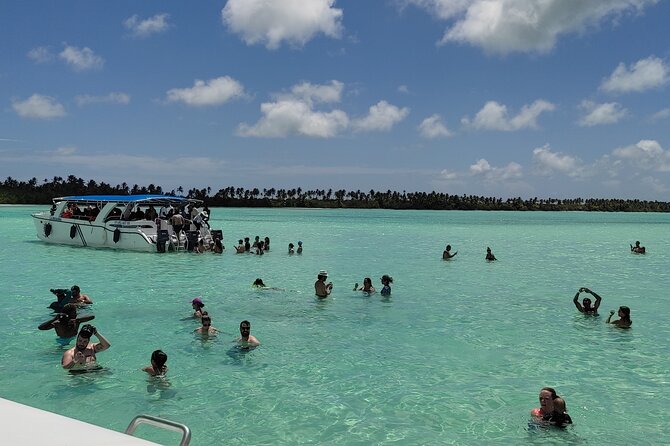 Saona Island Full Day From Punta Cana