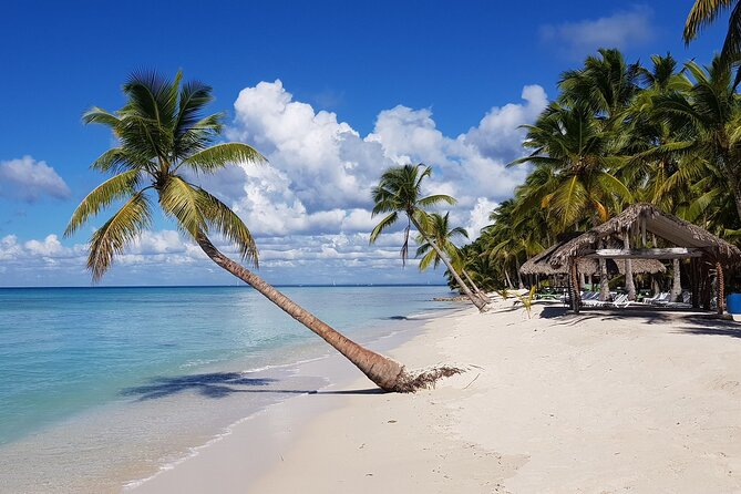 Saona Party Boat and Natural Pool From Cap Cana With Lobster