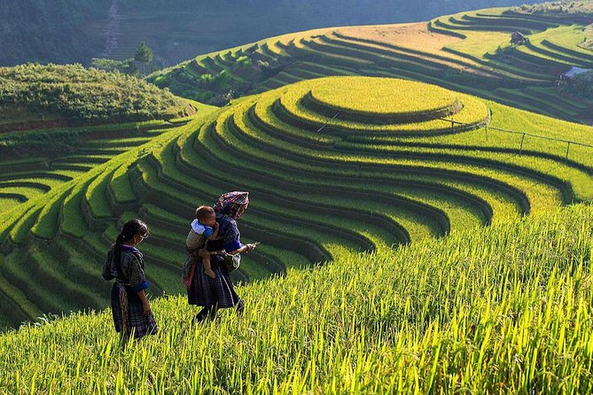 Sapa Trekking 2 Days 3 Nights by Overnight Train/ Sleeper Bus Stay at Homestay