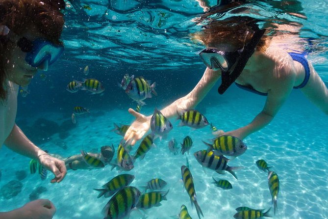 Scape Park Sunshine Cruise at Cap Cana