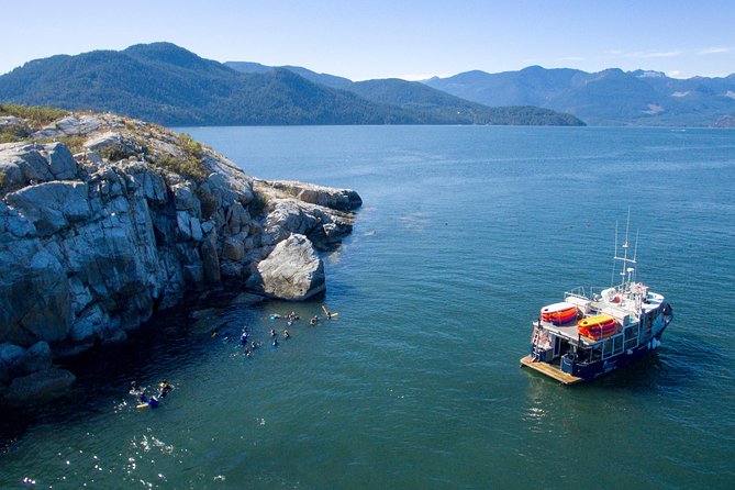 Scuba Dive Boat Charter in Vancouver (Certified Divers Only!)