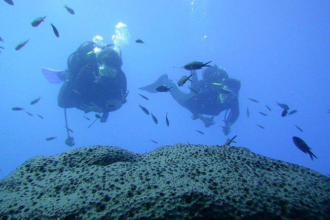 Scuba Diver Course