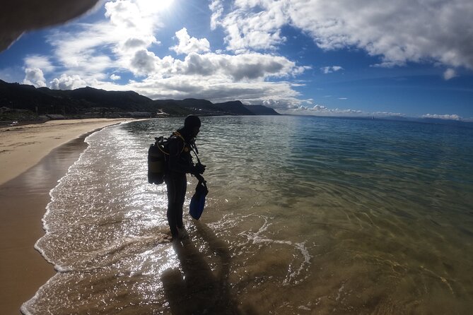 Scuba Diving Experience in Simonstown With an Expert