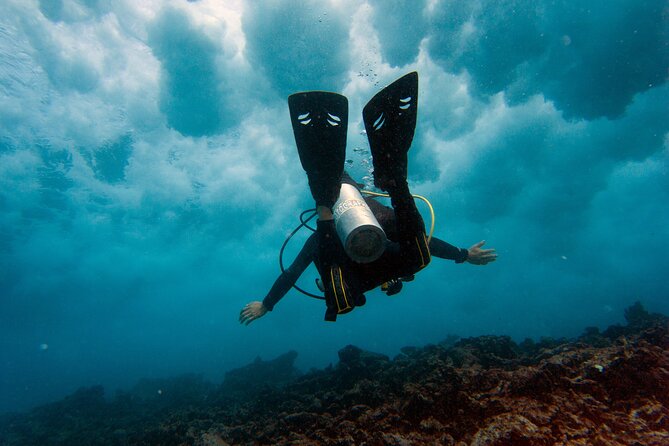 Scuba Diving in Cancun FREE Photos/Videos Beginners Welcomed!