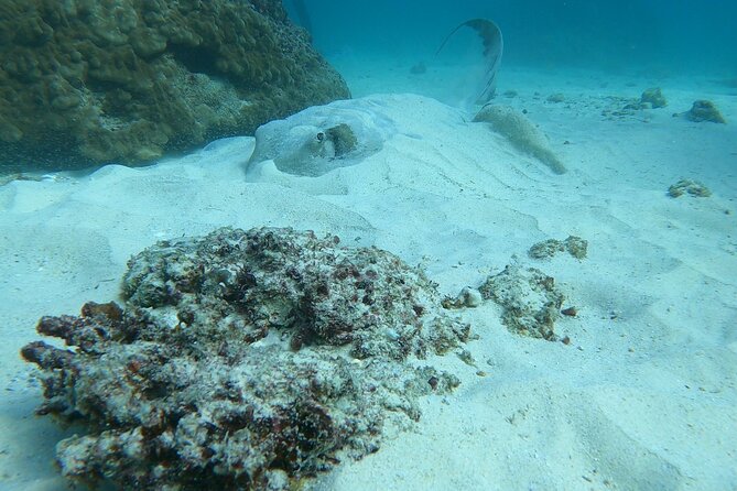Scuba Diving in Muscat