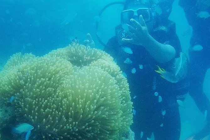 Scuba Diving (shore Dive) at Havelock Islands