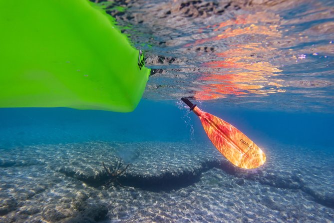 Sea Kayak Rentals