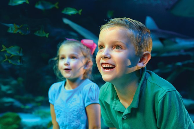 SEA LIFE Kansas City Aquarium Admission Ticket