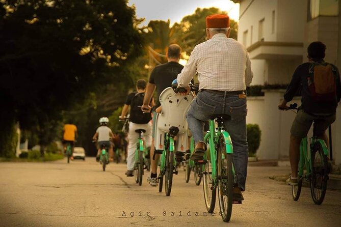 Self Guided Bike Tour of Carthage Archeological Site - Tour Overview