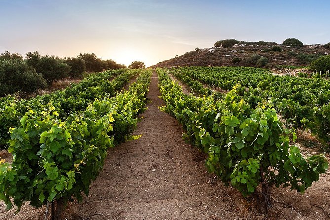 Semi Private Wine Tour of 2 Wineries With Transfer and Lunch - Itinerary Overview