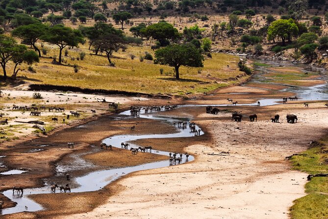 Serengeti Great Wildebeest Migration – 5 Days Tanzania Safari