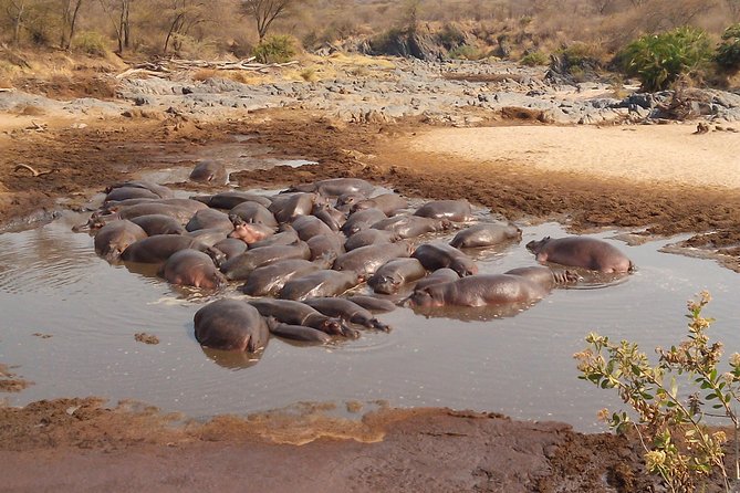 Serengeti National Park 4 Days Safari Camping - Overview of the Safari