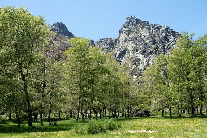 SERRA DA ESTRELA – Excursion With Tasting of SERRA Cheese