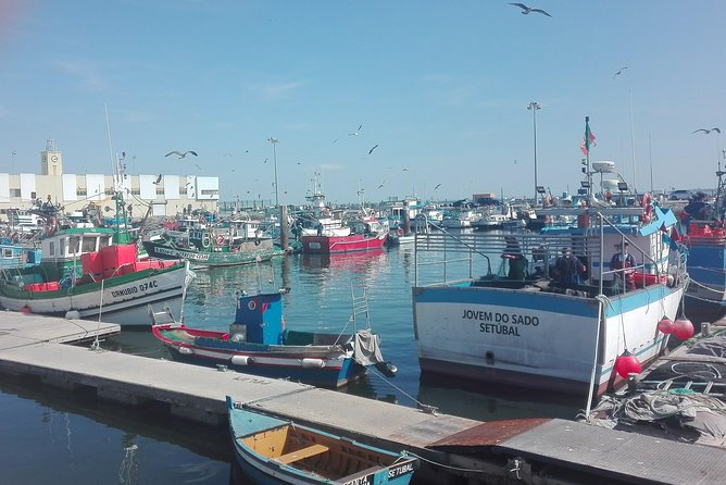 Setúbal & Arrábida