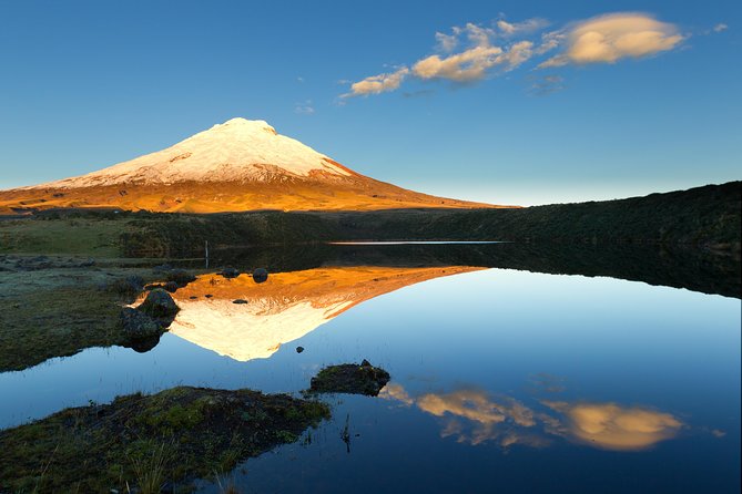 Shared Cotopaxi National Park Tour From Quito