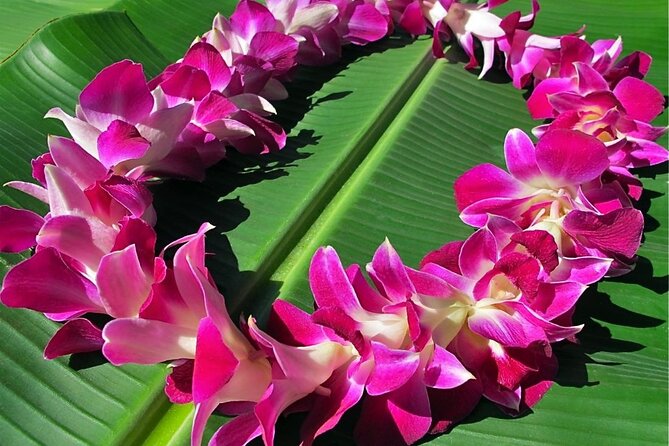 Shared Departure Transfer: Hotels to Kona International Airport