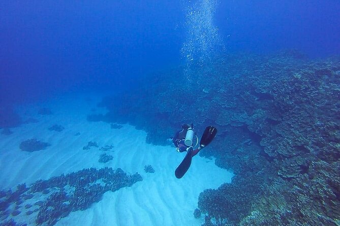 Shared Scuba Diving Experience on Easter Island One Dive Only