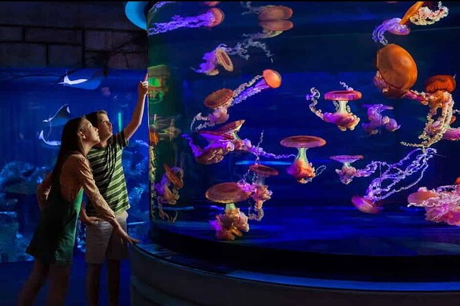 Shark Reef at Mandalay Bay Hotel and Casino - Admission Details