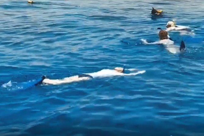 Shore Snorkeling – Two Hours