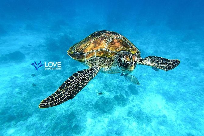 Similan Islands Snorkeling Day Trip By Love Andaman From Khao Lak - Overview of the Similan Islands
