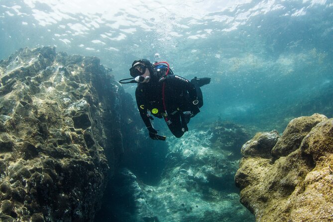 Single Scuba Try-Dive in Puerto Del Carmen - Small Groups - 2 Hours - Overview of the Activity