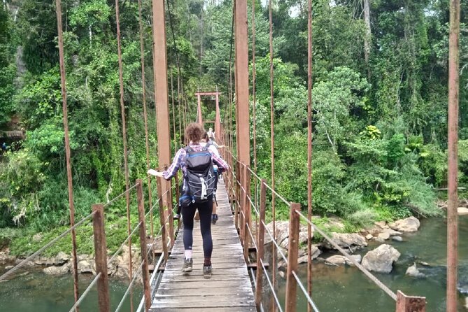 Sinharaja Rainforest Private Tour - Overview of the Tour