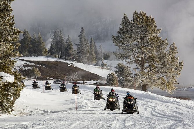 Ski-doo Snow Safari in Borovets