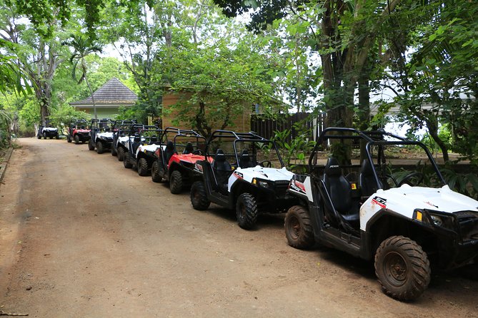 Skip the Line: Wet N Dirty ATV Adventure Tour