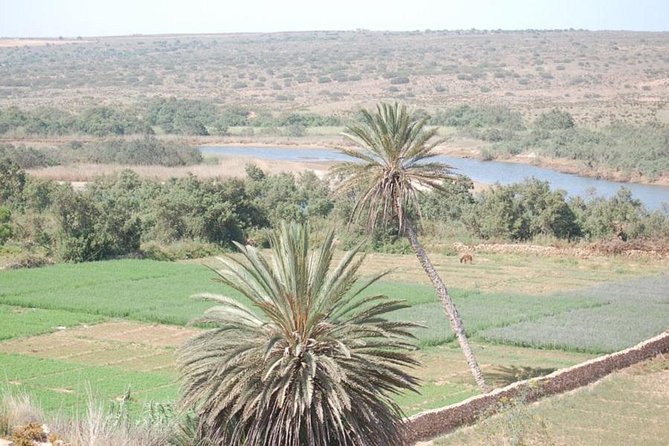 Small Desert in 4×4