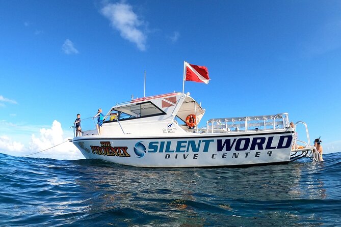 Small – Guided Shallow 2 Tank Dive Experience in Key Largo ALL GEAR INCLUDED