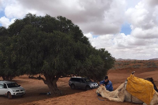 SMALL SAHARA & SILVER CITY- MASSA & TIZNIT IN 4×4 WITH LUNCH IN BERBER STYLE