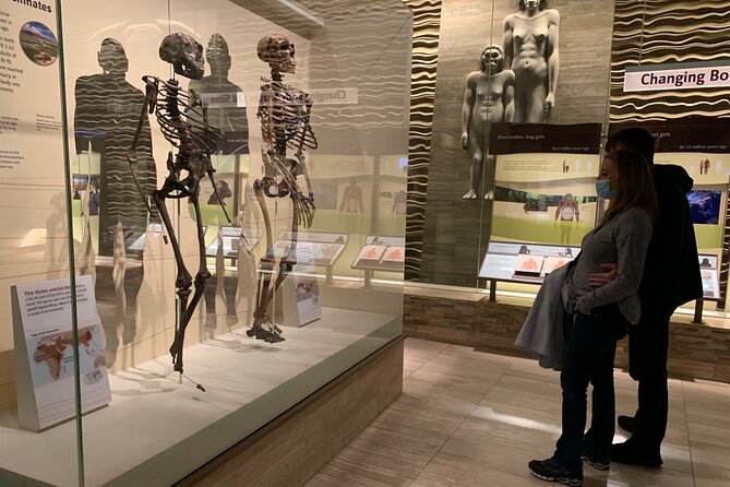 Smithsonian National Museum of Natural History With Guided Tour