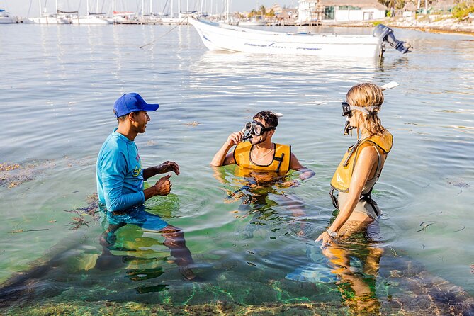 Snorkel in Cancun: With Turtles, Shipwreck, Cenote, and Reef
