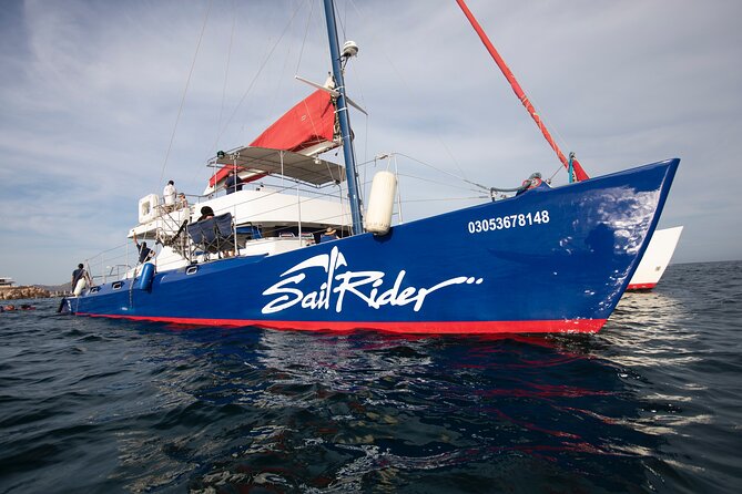 Snorkel, Lunch & Sail in Cabo San Lucas - Tour Overview