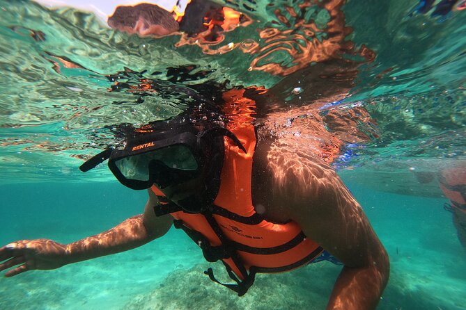 Snorkeling Adventure and Explore Catalina Island From Punta Cana