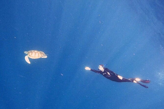Snorkeling Excursion in the Rayas and Turtles Zone