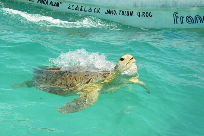 Snorkeling in Sian Kaan
