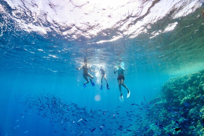 Snorkeling in the Plemmirio Reserve in Syracuse - Preparing for the Snorkeling Adventure