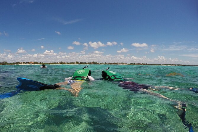 Snorkeling With Caribbean Fish and Private Cenote Exploration - Overview of the Tour