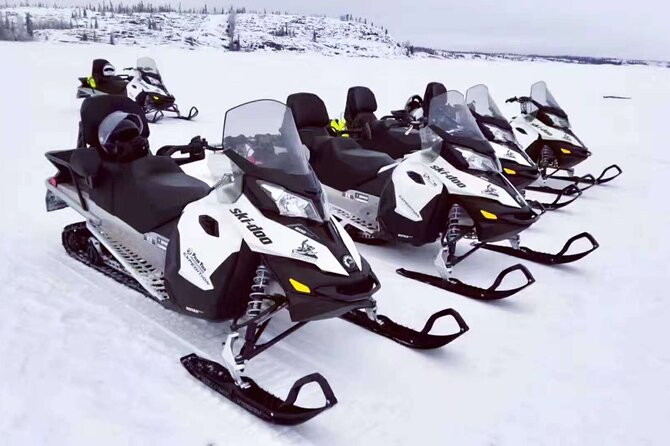 Snowmobile Tour