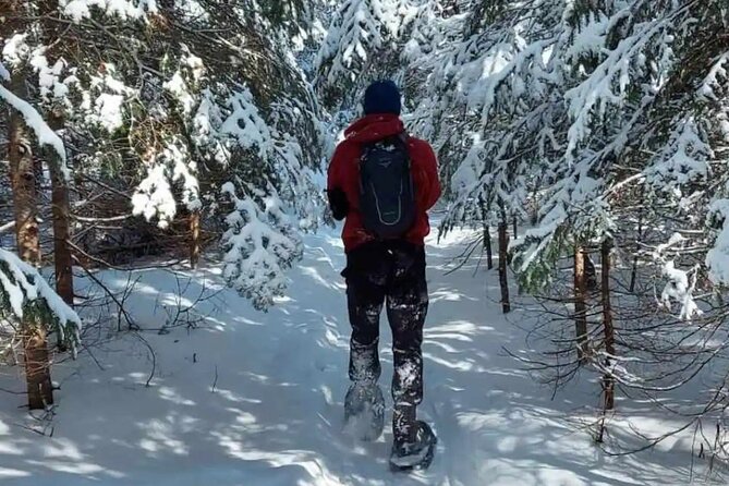 Snowshoe Awenda Provincial Park on Beautiful Georgian Bay