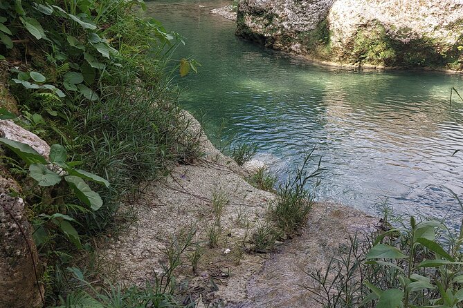 Somerset Fall and Bamboo Rafting Experience in Portland Jamaica