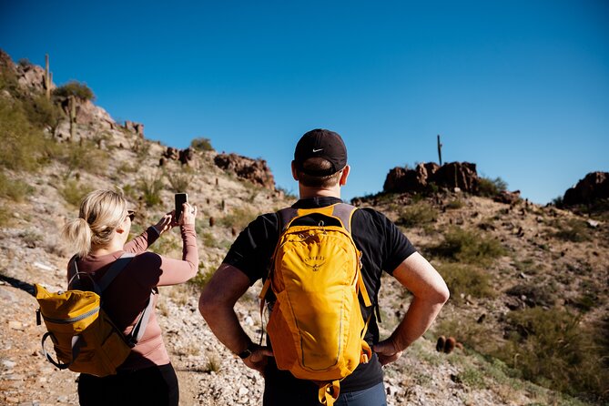 Sonoran Desert Solo Half Day Hike at Customizable Pace