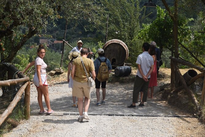 Sorrento Farm Experience: Wine Tasting, Pizza and Cheese Making - Overview of the Experience
