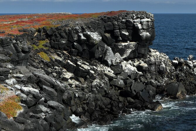 South Plazas and Punta Carrion Day Tour:Land Iguanas & Snorkeling