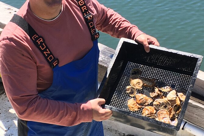 Southold Bay Oyster Farm Tour