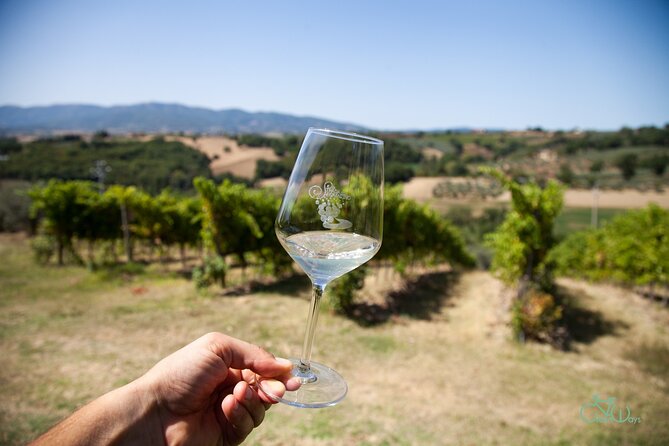 Spello E-Bike Tour With Lunch and Wine Tasting! - Highlights of the Itinerary