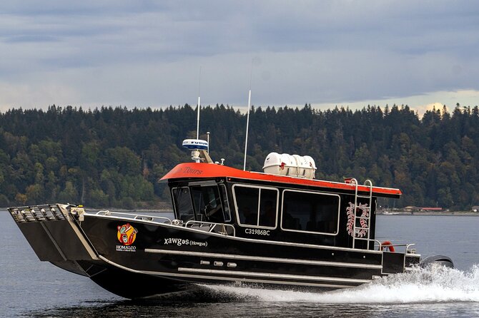 Spring Bears and Whales in Campbell River Tour