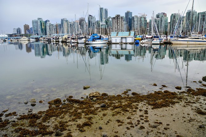 Stanley Park & English Bay Golden Hour Photography - Overview of the Activity