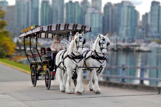 Stanley Park Horse-Drawn Tour - Tour Overview